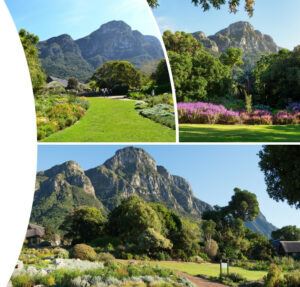 Kirstenbosch